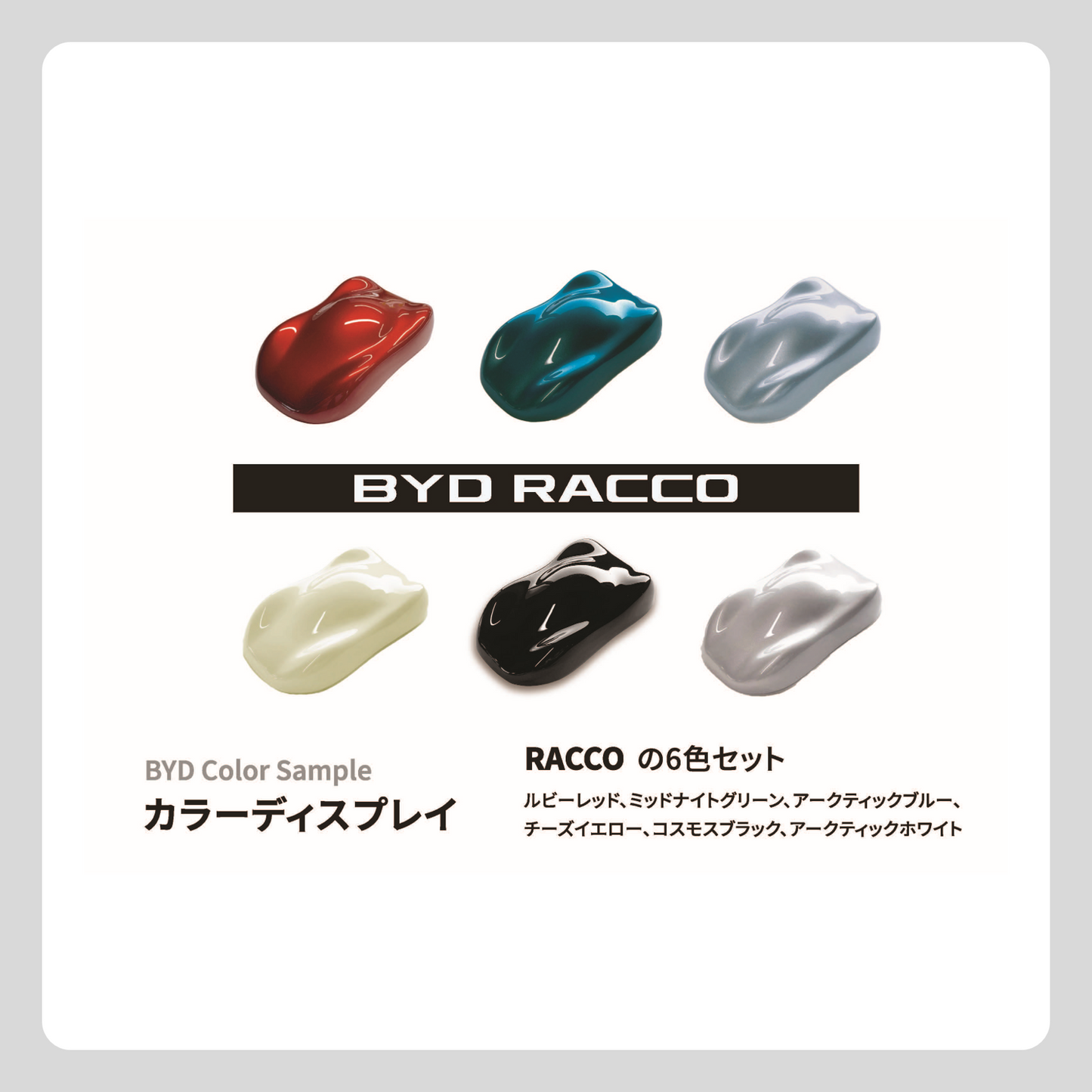 カラーディスプレイ（RACCOセット 6色）