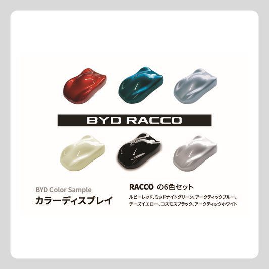 カラーディスプレイ（RACCOセット 6色）