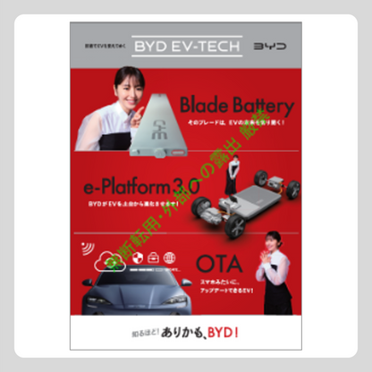 【値下げ】第2弾 ブランドキャンペーン用 ポスター 2枚1組